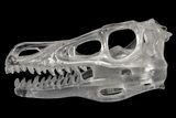 Carved Quartz Crystal Dinosaur Skull #227036-4